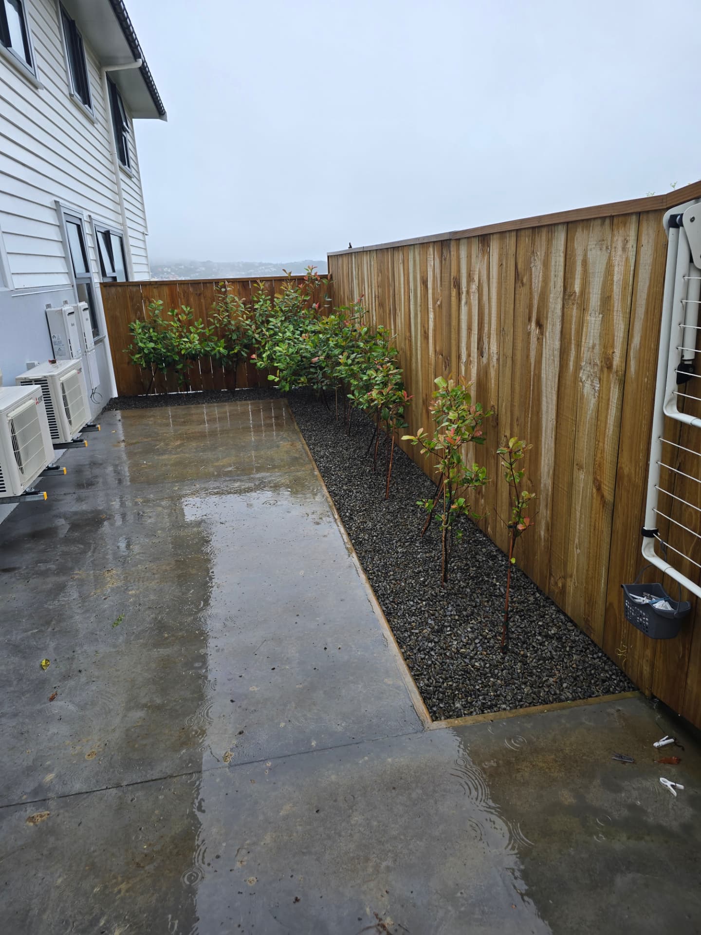 Courtyard Concrete & Fencing